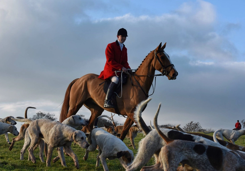 A bill which would ban hunting with hounds in England and Wales became the first such proposal to get a second reading in parliament.