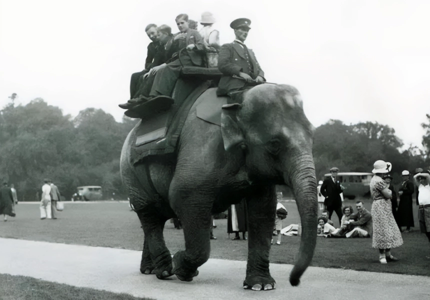 The official opening of Whipsnade Zoo near Dunstable, in Bedfordshire.