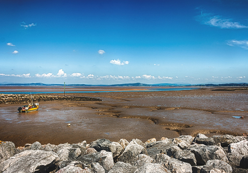 Tragedy occurred in Morecambe Bay, Lancashire, when 23 Chinese cockle-pickers drowned after being trapped by rapidly rising tides.